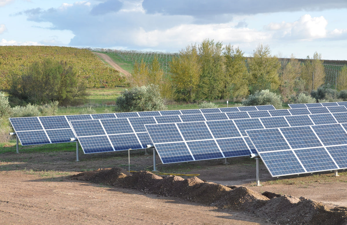 Duurzame wijnbouw - zonnepanelen in de wijngaard