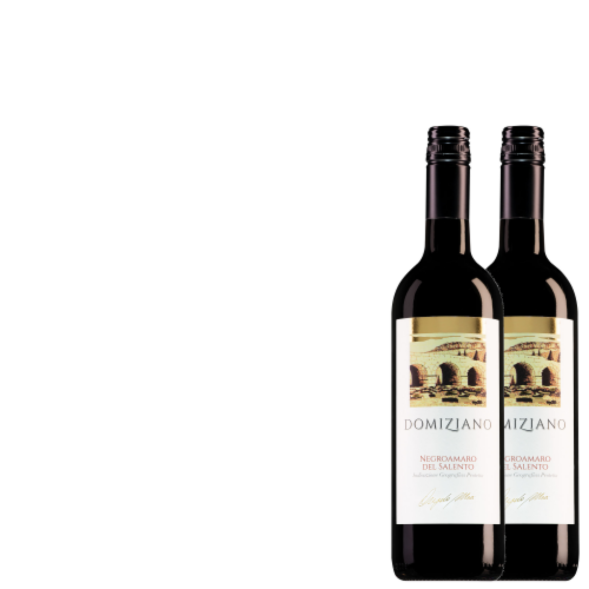 Wijnkist met 2 Cantine Due Palme Negroamaro del Salento Domiziano