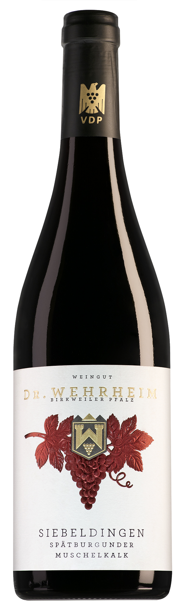 Weingut Dr. Wehrheim Pfalz Siebeldingen Muschelkalk Spätburgunder